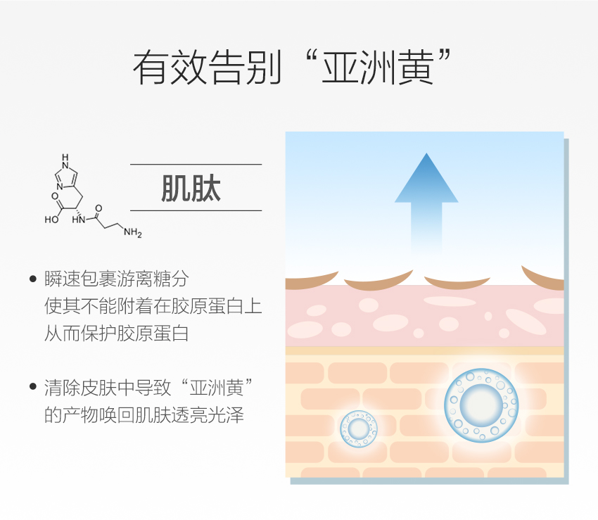 安瓶詳情_07.jpg