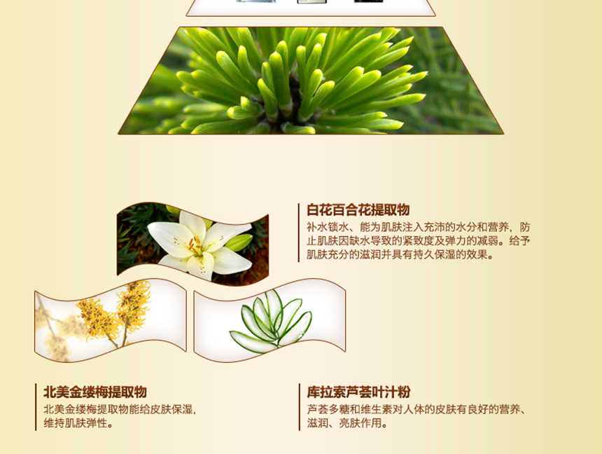 亮膚滋養水噴霧詳情_05.jpg