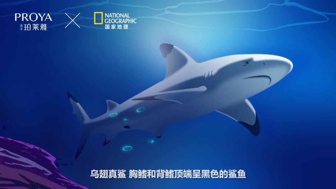 微信圖片_20190823163602.jpg