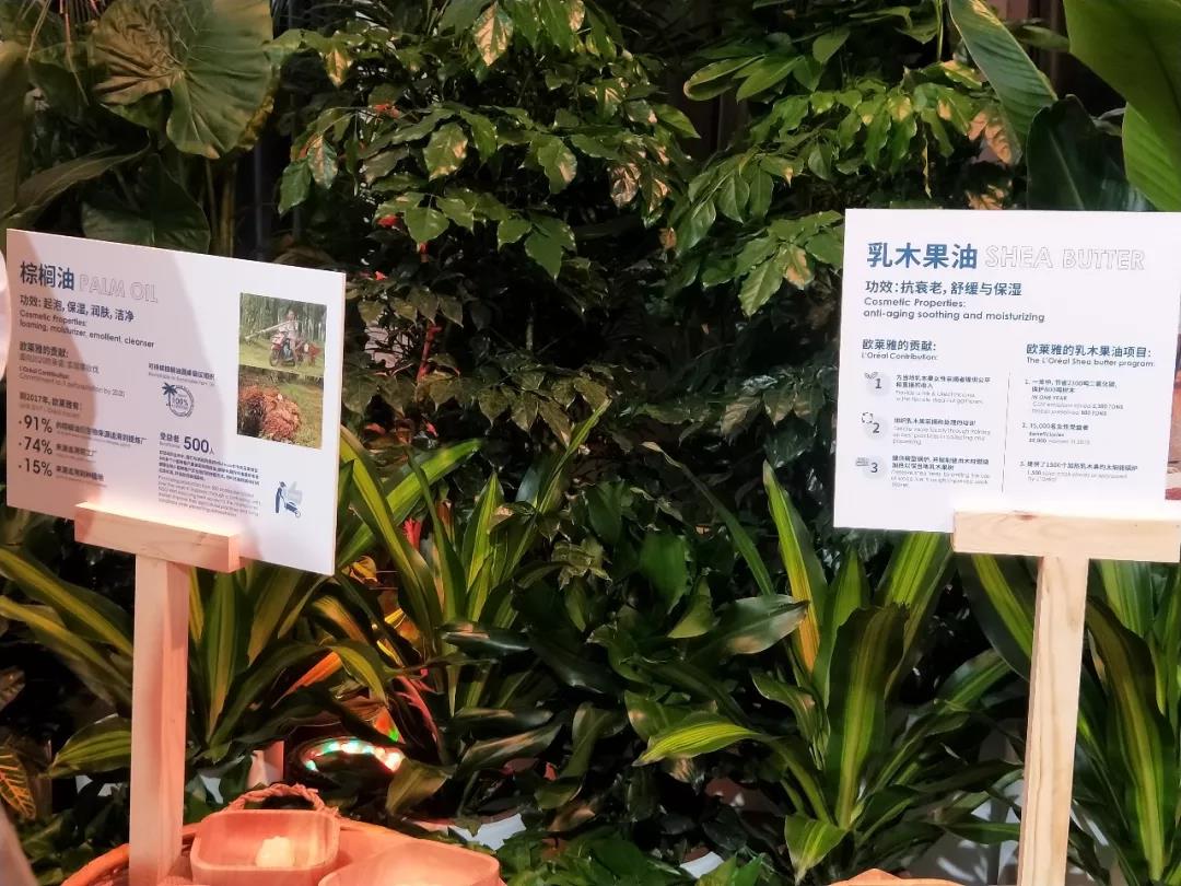 微信圖片_20190902172555.jpg