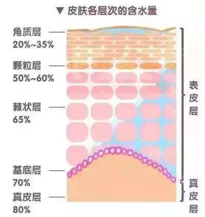 微信圖片_20190904113116.jpg