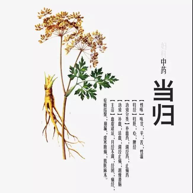 微信圖片_20190904152539.jpg