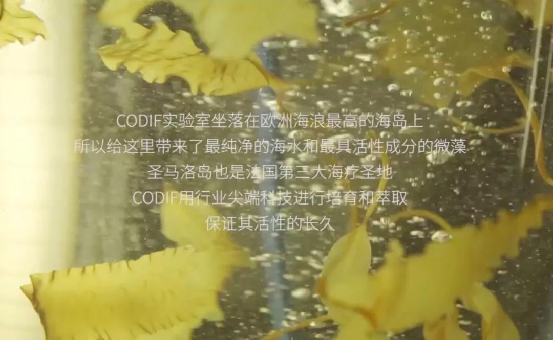 微信圖片_20190906154214.jpg