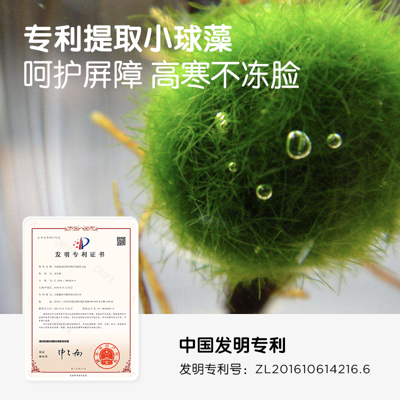 6小球藻專利.png