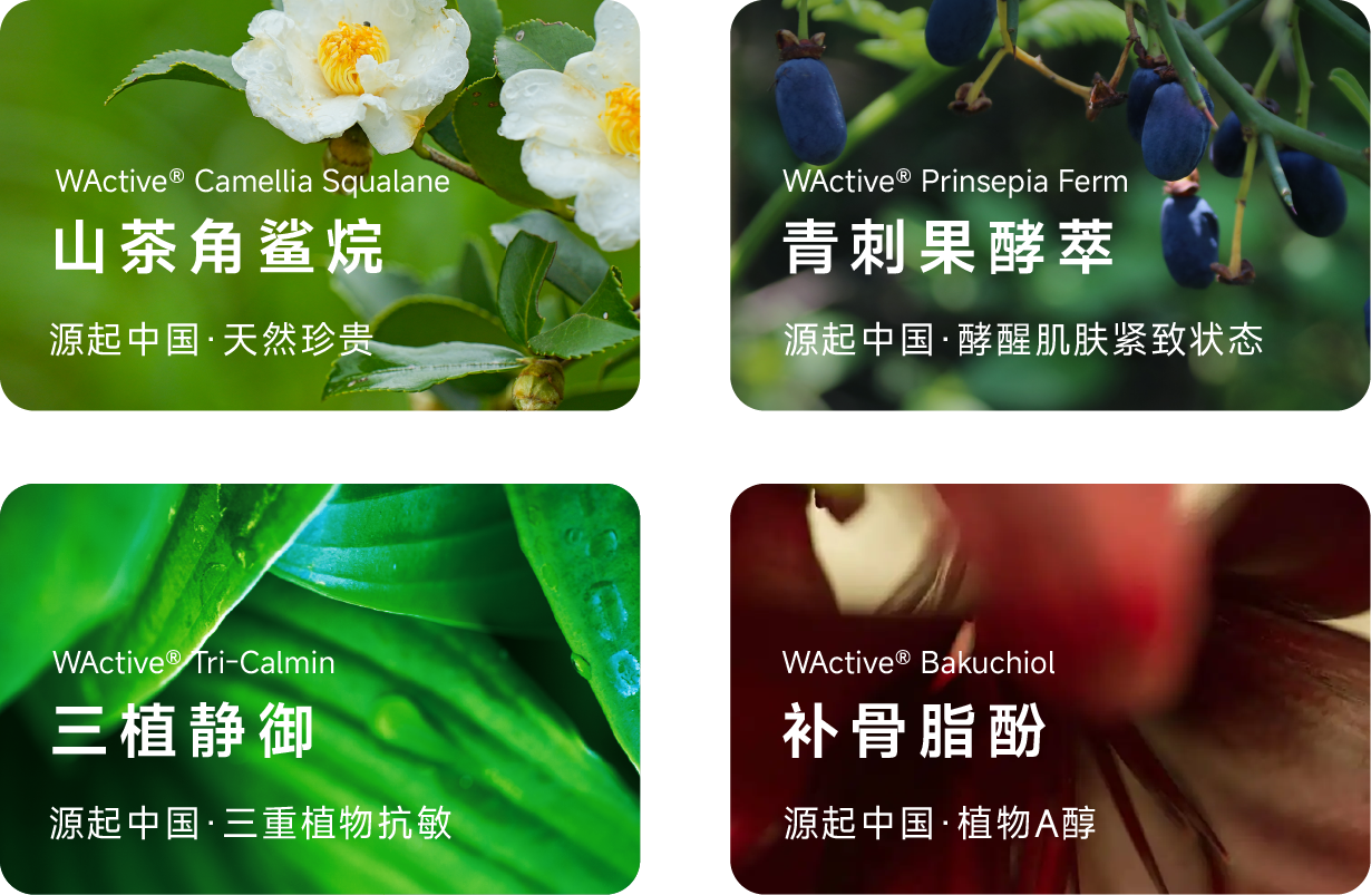 微信圖片_20241017105006.png