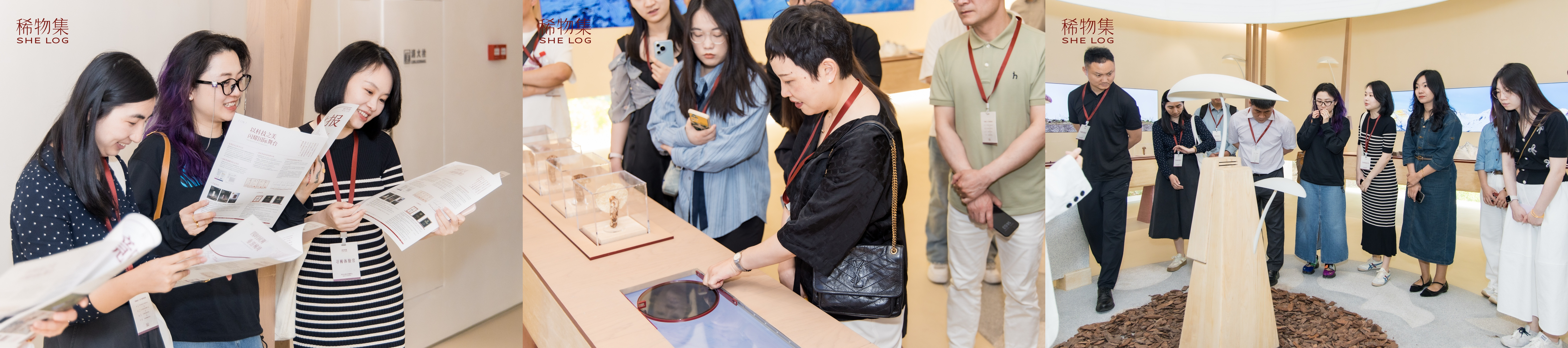 下載 (1).jpg