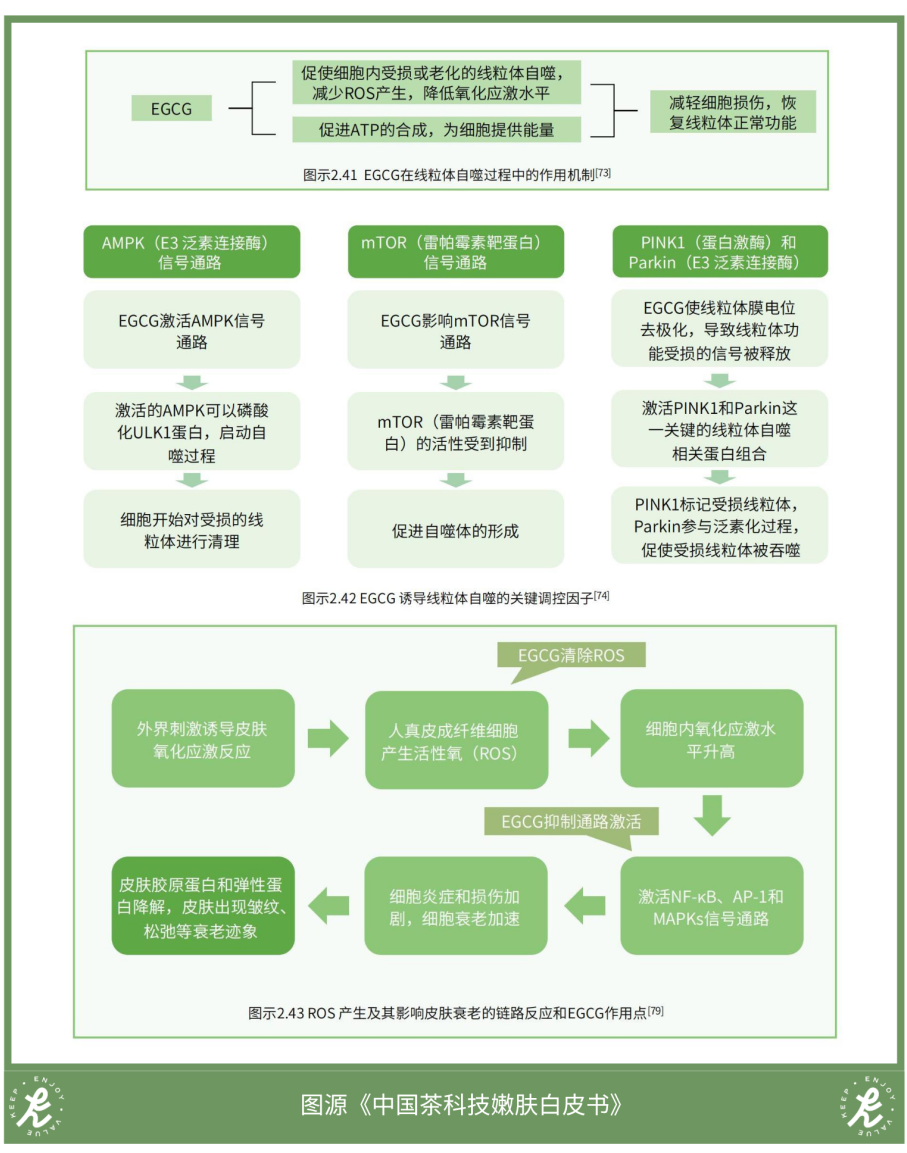 圖片6.png