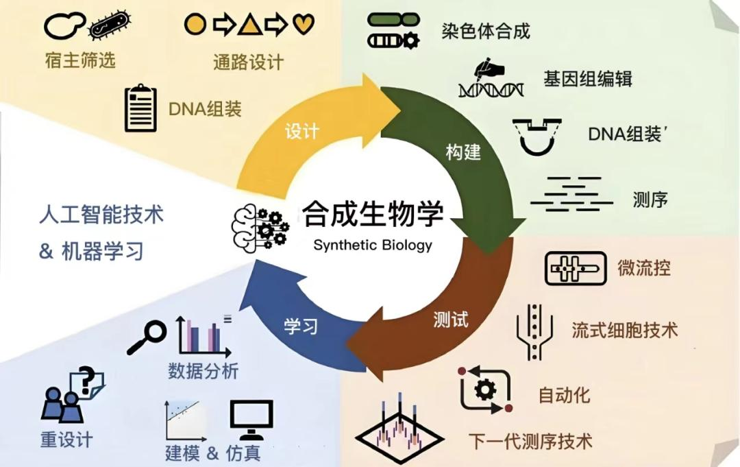 圖片1.png