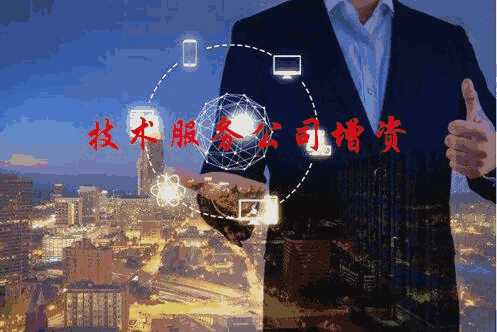 技術(shù)服務(wù)公司增資項目