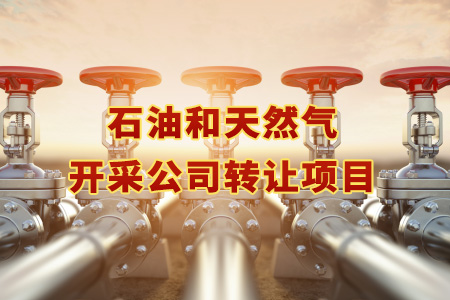 石油和天然氣開采公司轉讓項目